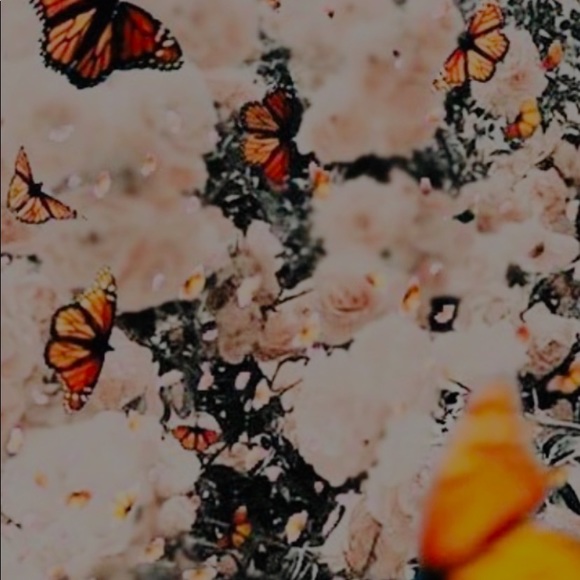 Meet your Posher, Kellie - Picture 1 of 1